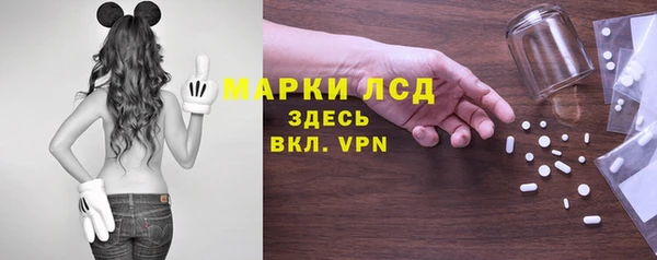 прущие грибы Семилуки