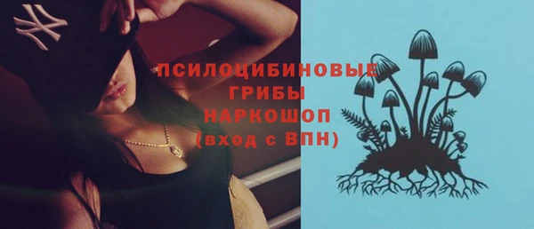 ПСИЛОЦИБИНОВЫЕ ГРИБЫ Волоколамск