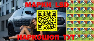 индика Кинель
