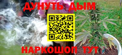 ешки Кингисепп