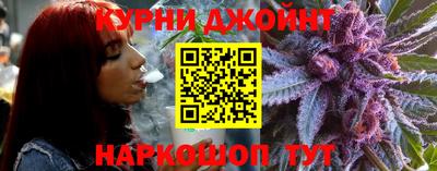 индика Кинель