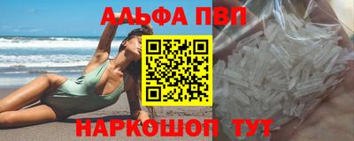ешки Кингисепп