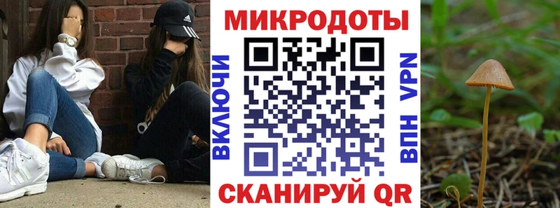 Галлюциногенные грибы MAGIC MUSHROOMS Красногорск