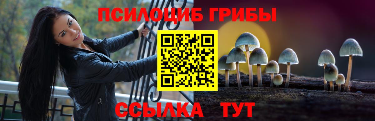 Галлюциногенные грибы Magic Shrooms Красногорск