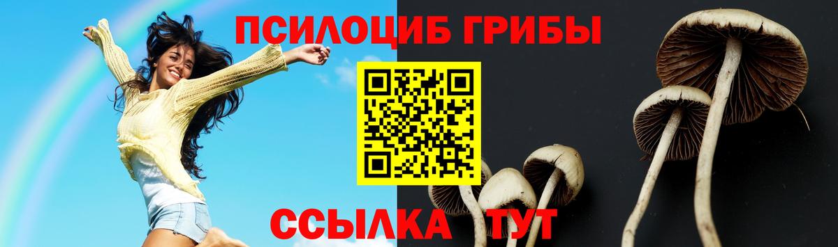 Галлюциногенные грибы мухоморы  Вход с VPN  Галлюциногенные грибы Cubensis  Красногорск 